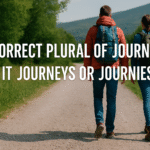 The Correct Plural of Journey: Is It Journeys or Journies?