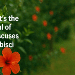 What’s the Plural of Hibiscus? Hibiscuses or Hibisci Explained Clearly